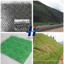 3D Geomat and Three -Dimensional Geomat and 3D Erosion Control Mat and Plastic Geomat